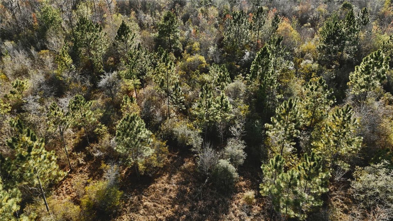 00 W Market Road , Starke, FL 32091 Photo