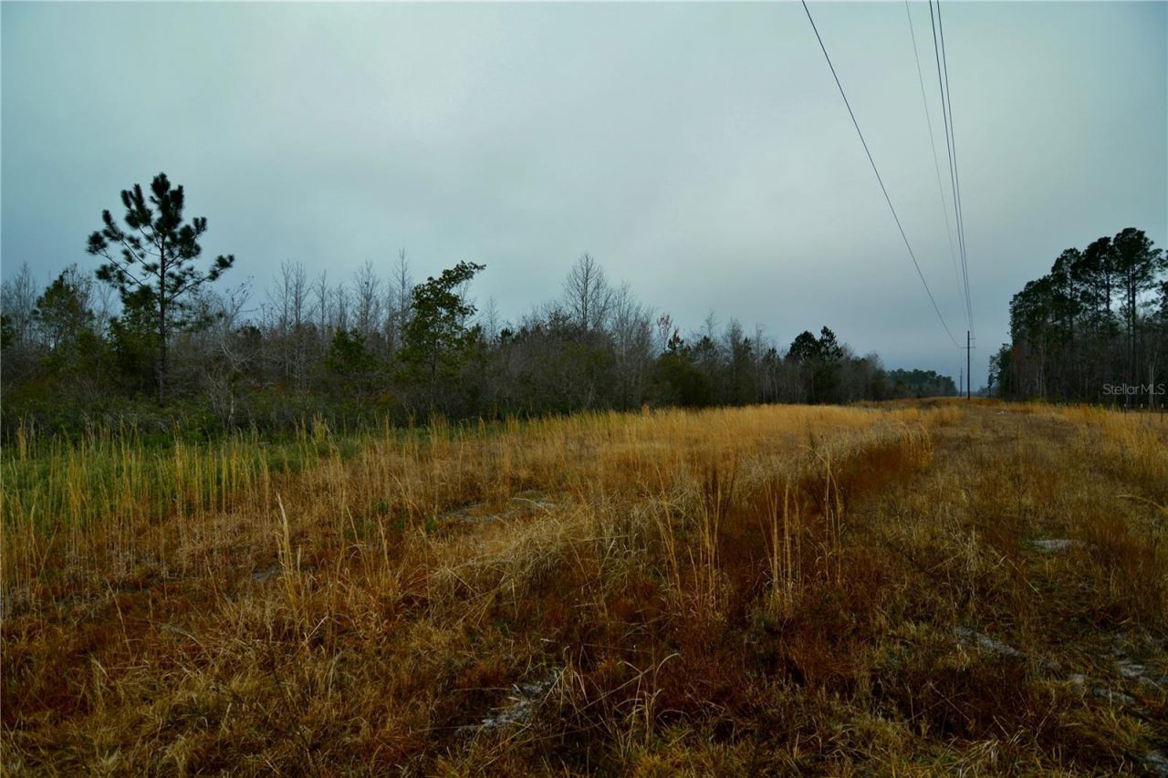 00 W Market Road , Starke, FL 32091 Photo