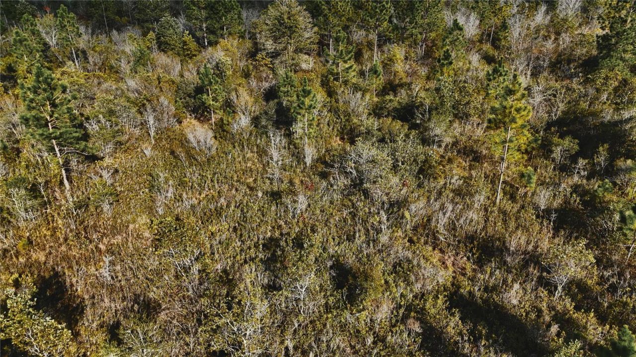 00 W Market Road , Starke, FL 32091 Photo