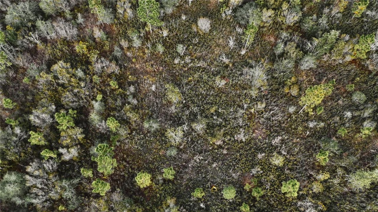 00 W Market Road , Starke, FL 32091 Photo