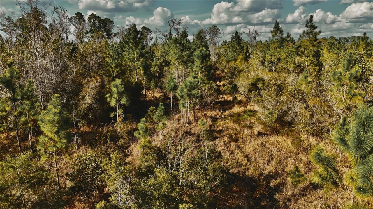 00 W Market Road , Starke, FL 32091 Photo