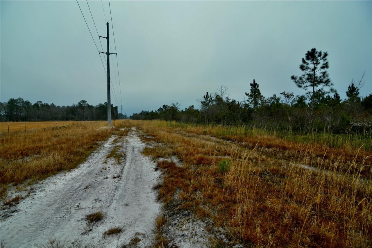 00 W Market Road , Starke, FL 32091 Photo
