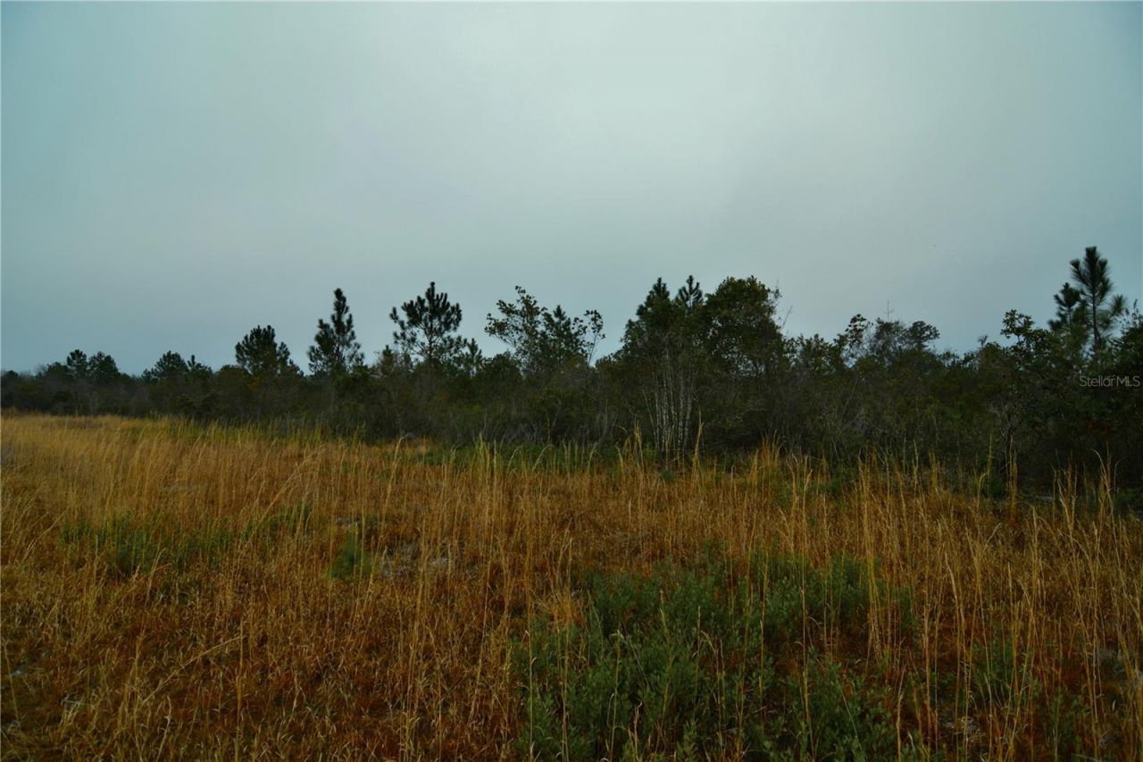 00 W Market Road , Starke, FL 32091 Photo