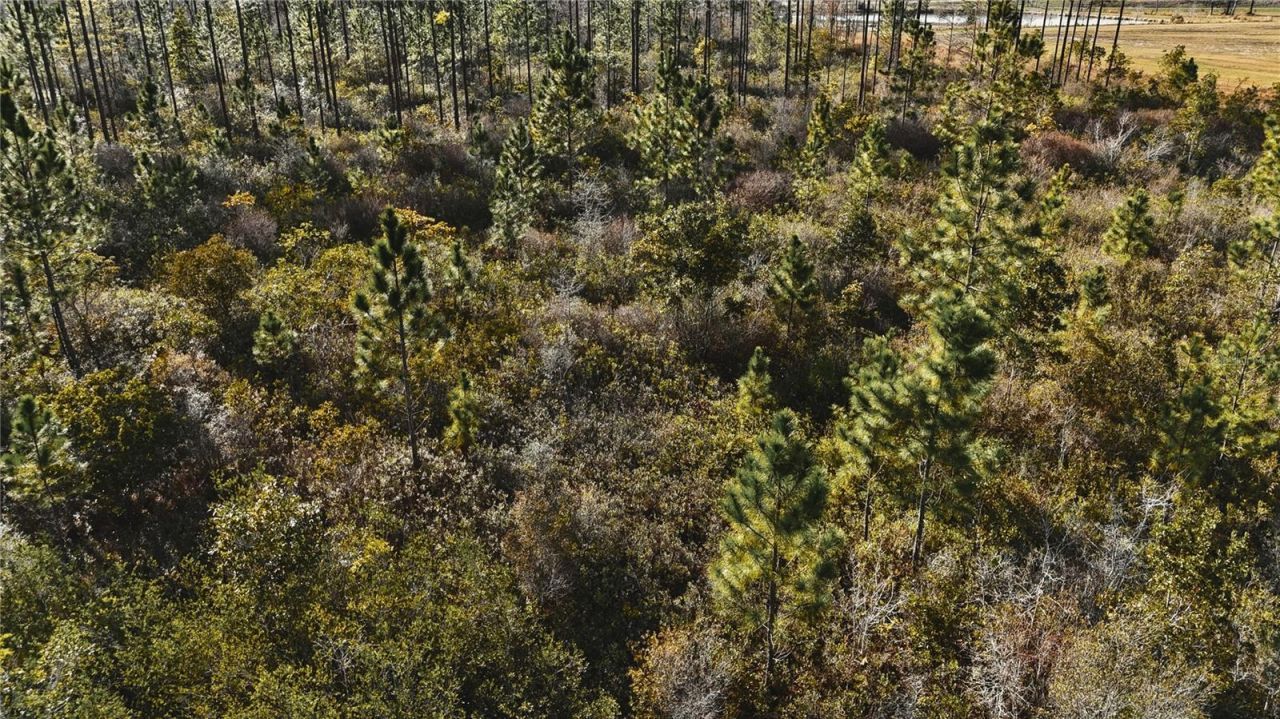 00 W Market Road , Starke, FL 32091 Photo