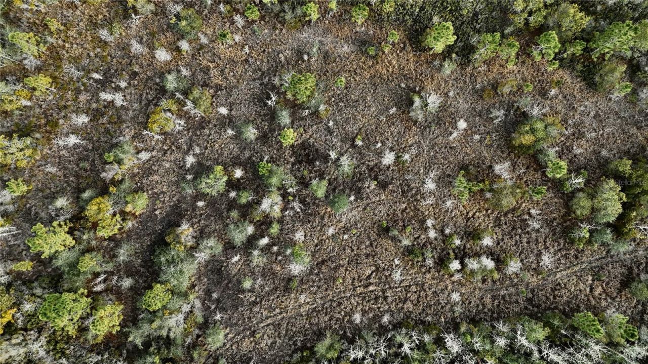 00 W Market Road , Starke, FL 32091 Photo