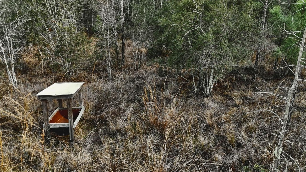 00 W Market Road , Starke, FL 32091 Photo