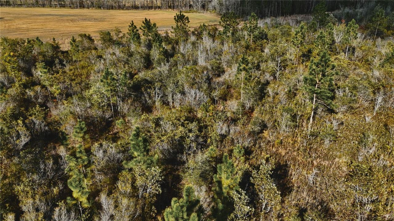 00 W Market Road , Starke, FL 32091 Photo