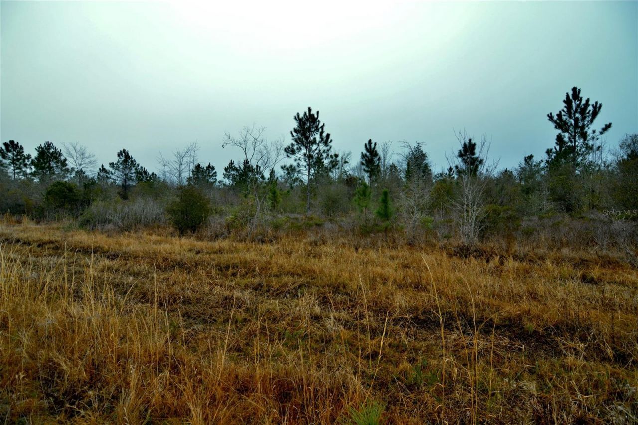 00 W Market Road , Starke, FL 32091 Photo