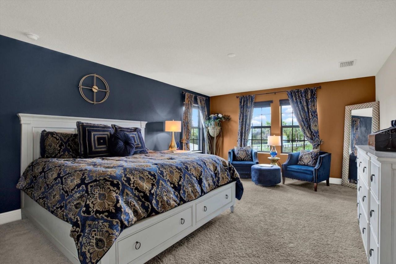 13113 Wildflower Meadow Drive, Riverview, FL 33579 Photo