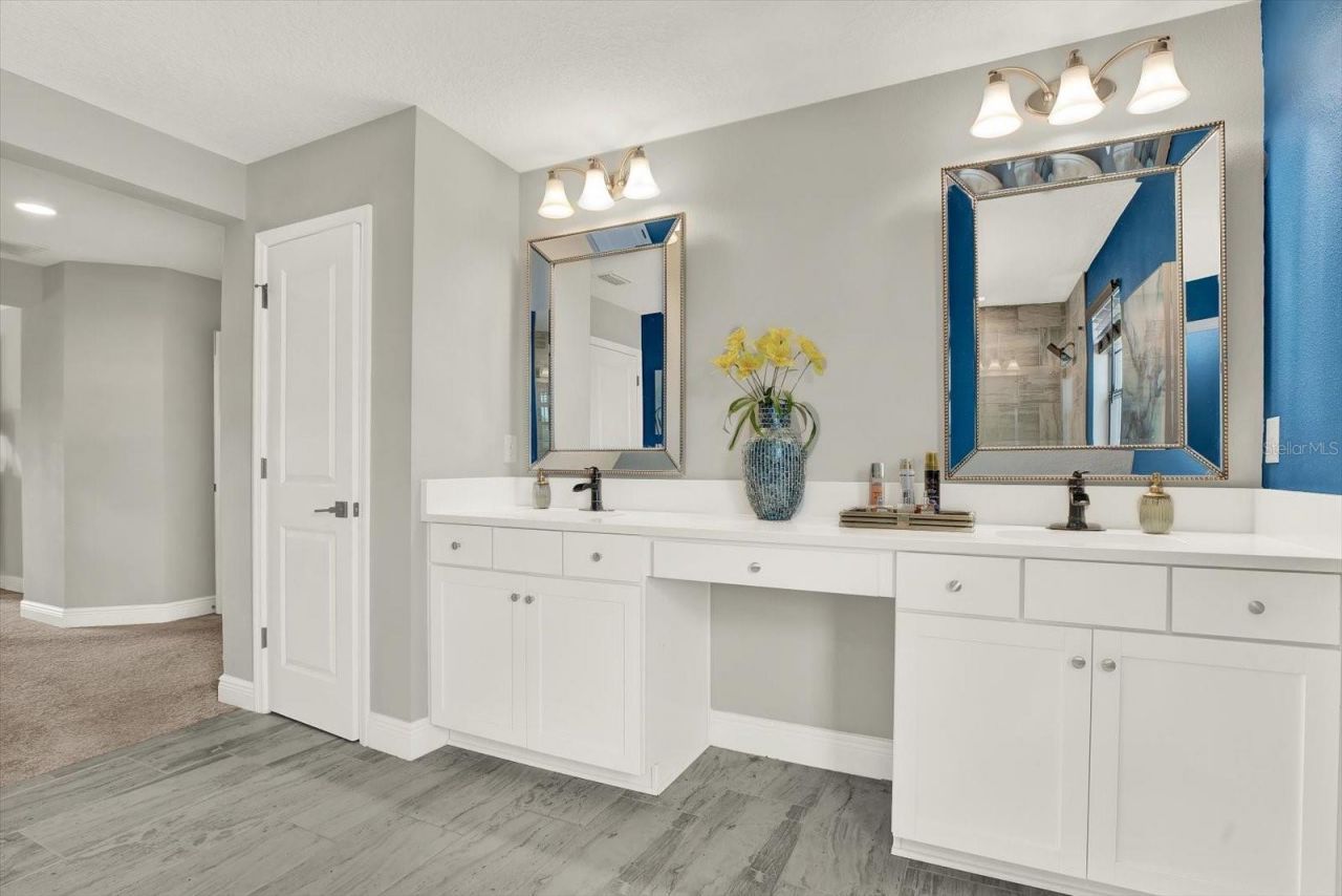 13113 Wildflower Meadow Drive, Riverview, FL 33579 Photo