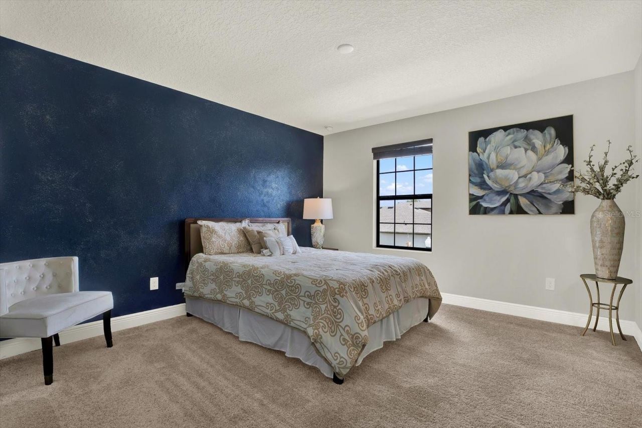 13113 Wildflower Meadow Drive, Riverview, FL 33579 Photo