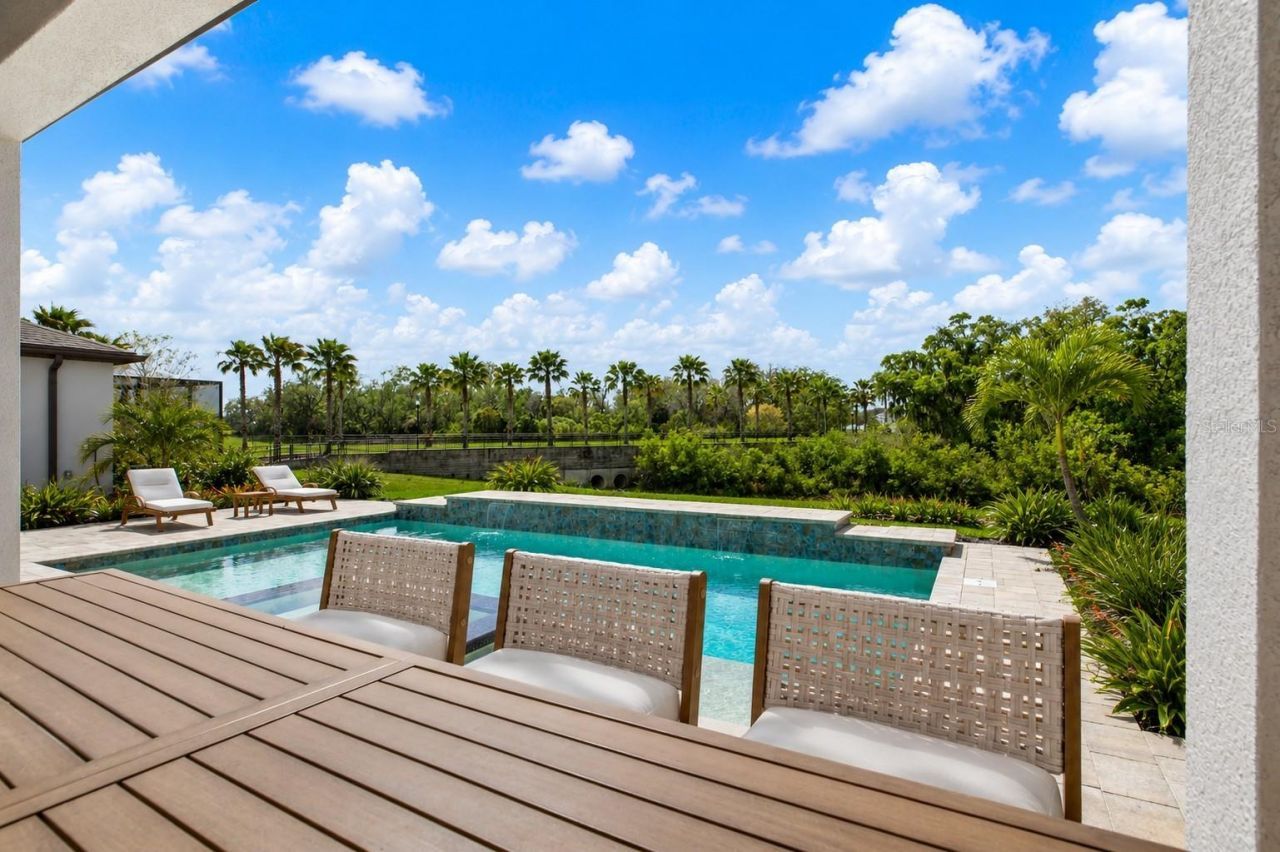 13113 Wildflower Meadow Drive, Riverview, FL 33579 Photo