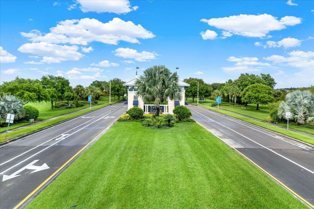 13113 Wildflower Meadow Drive, Riverview, FL 33579 Photo