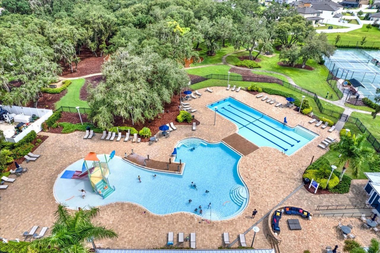 13113 Wildflower Meadow Drive, Riverview, FL 33579 Photo