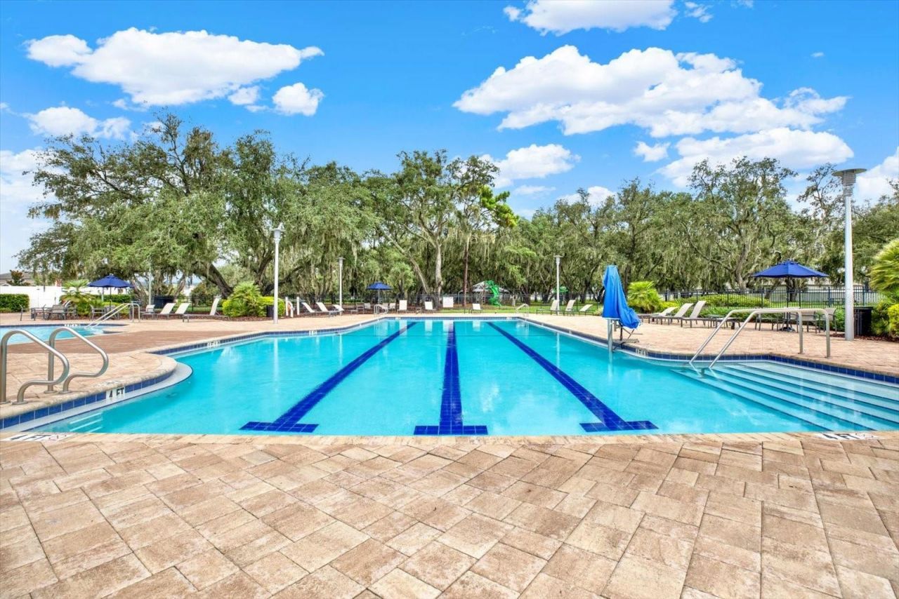 13113 Wildflower Meadow Drive, Riverview, FL 33579 Photo