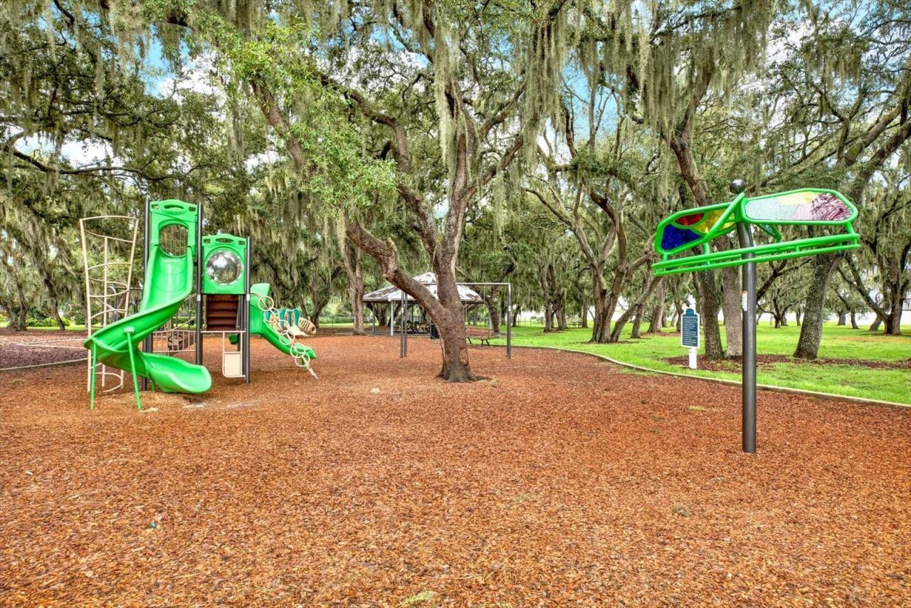 13113 Wildflower Meadow Drive, Riverview, FL 33579 Photo