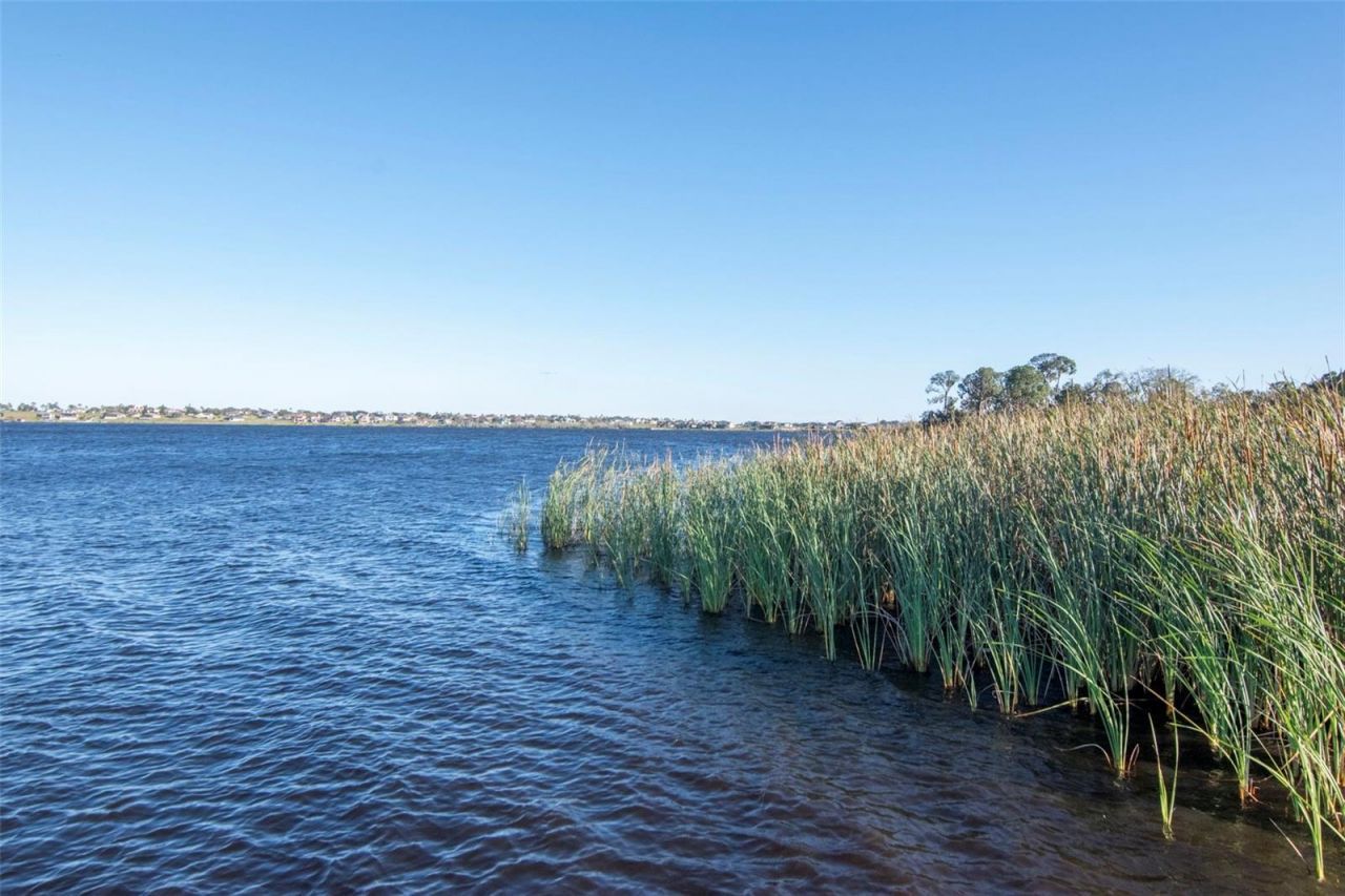 169 Summershore Drive, Auburndale, FL 33823 Photo