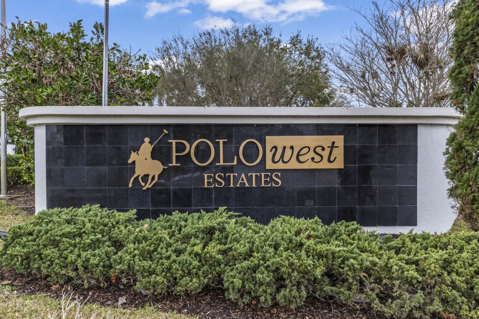 2296 Greenview Cove Drive, Wellington, FL 33414 Photo