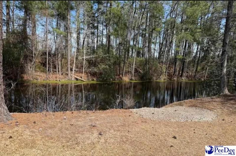 4421 Armfield Rd Photo 19