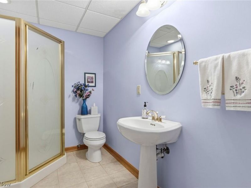 7614 Vinemont Court, Hudson, OH 44236 Photo 43