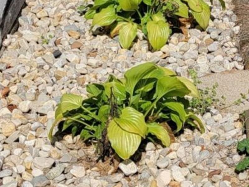 1727 E Mcpherson Highway, Clyde, OH 43410 Photo 39