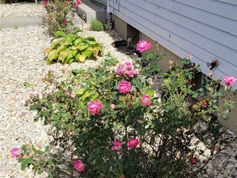 1727 E Mcpherson Highway, Clyde, OH 43410 Photo 40