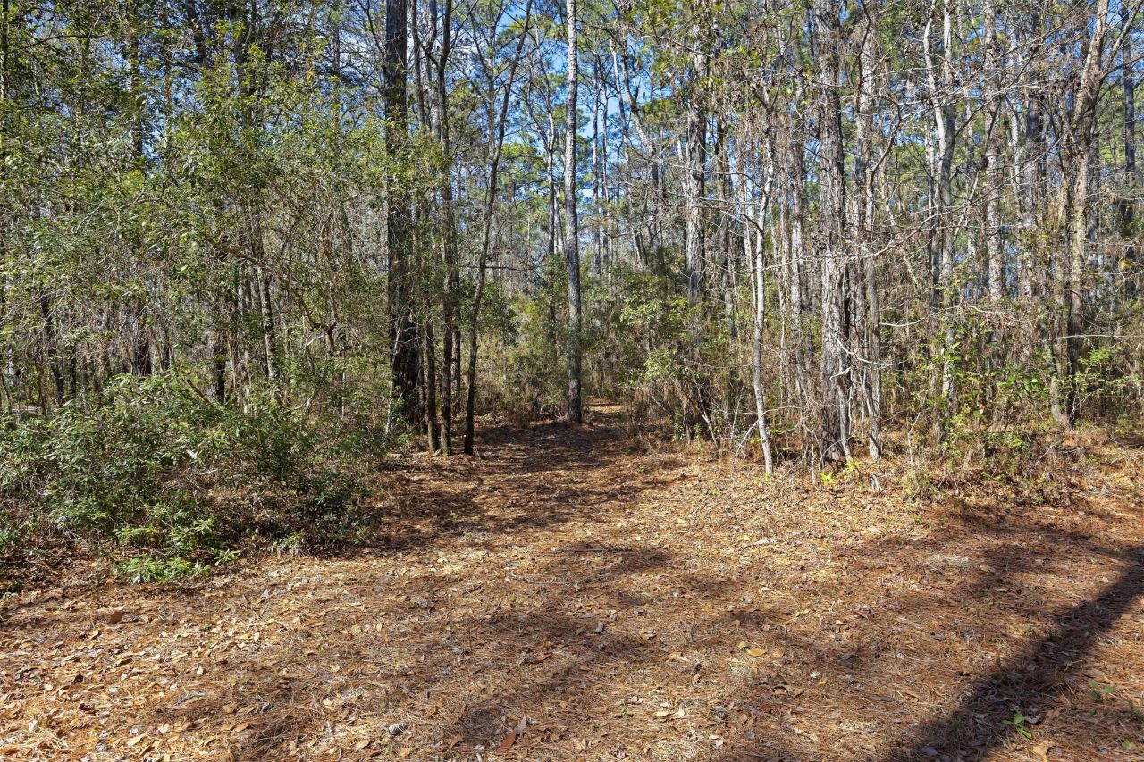 9168 Old Georgetown Road Photo 31