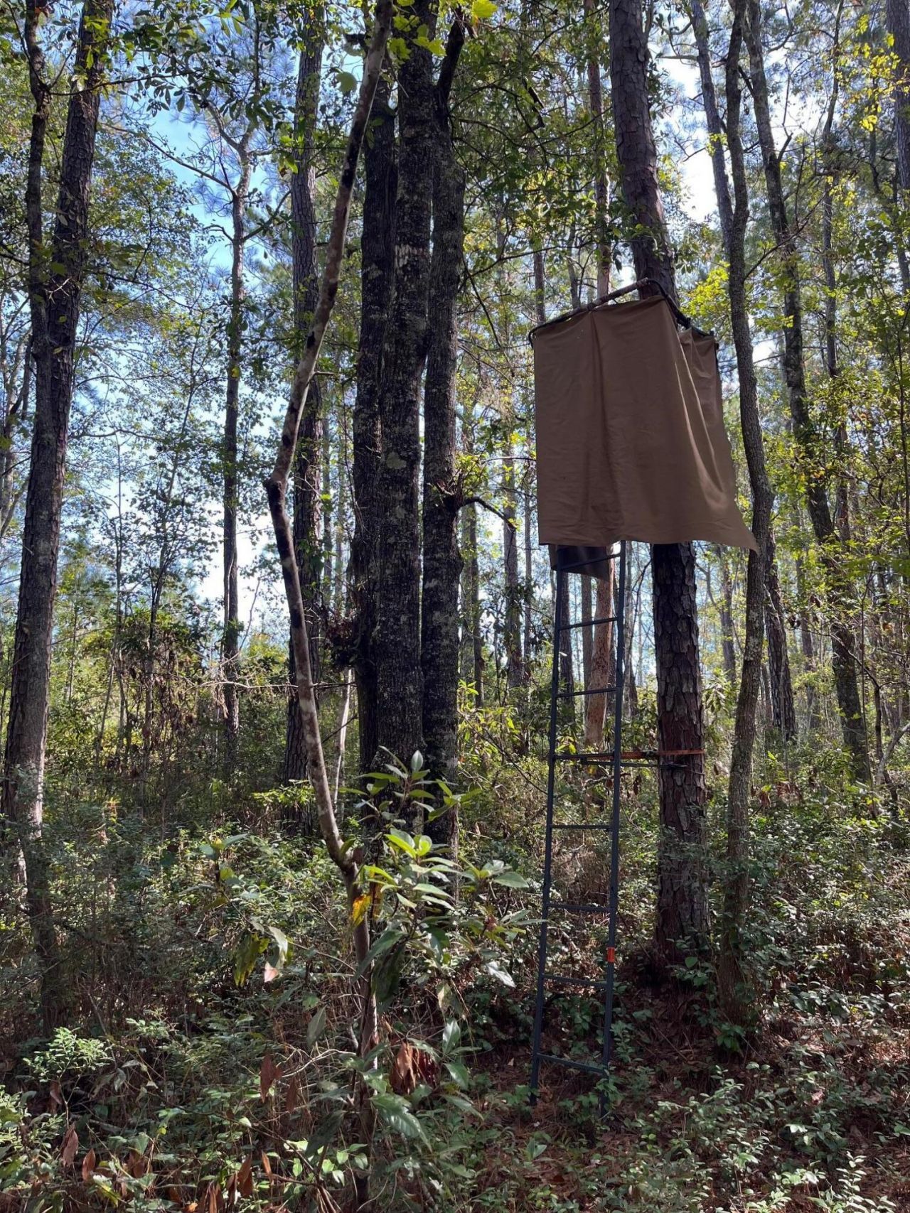 9168 Old Georgetown Road Photo 33