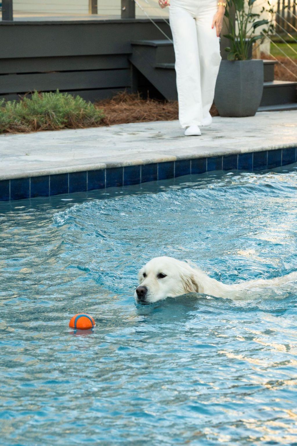 1015 Casseque Province Photo 48