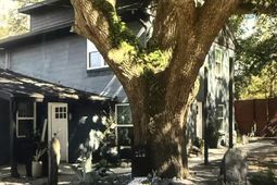 2647 Bonds Avenue photo 4