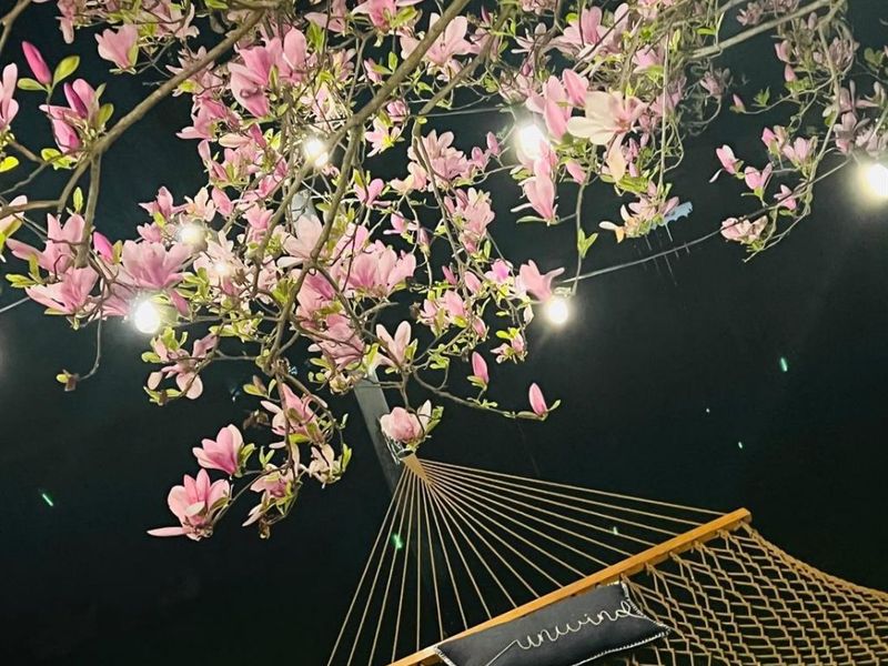 8602 Linderwood Lane, Anderson Twp, OH 45255 Photo 25