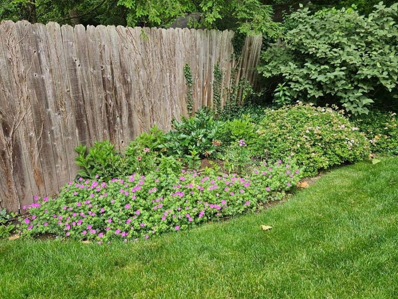 536 Hopper Hill Farms Road, Pierce Twp, OH 45255 Photo 53