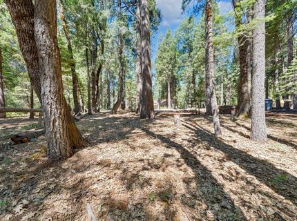 740 Hide Away Loop, Alta, CA 95701 Photo