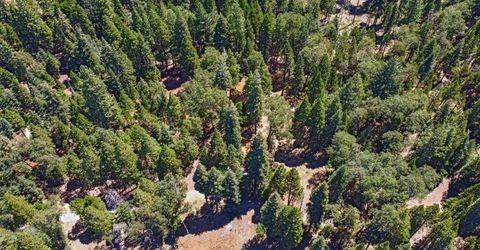740 Hide Away Loop, Alta, CA 95701 Photo