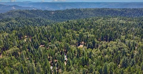 740 Hide Away Loop, Alta, CA 95701 Photo