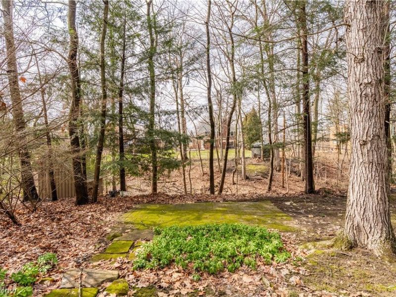 240 Sand Run Road, Akron, OH 44313 Photo 43