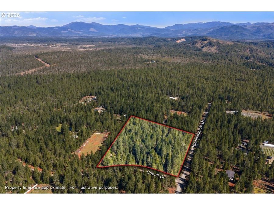 Property Image 6