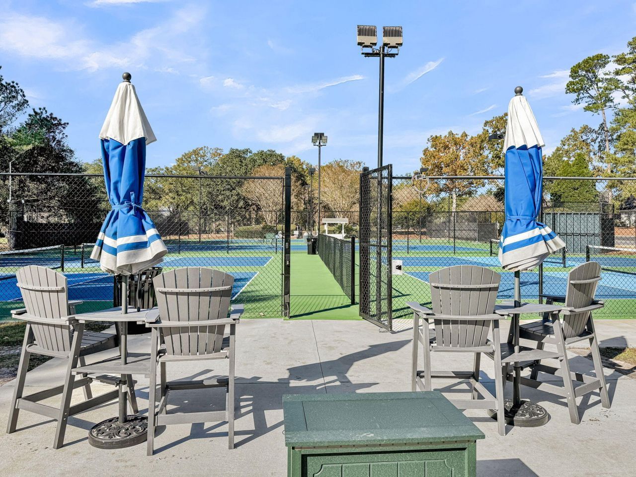 4201 Meadowbrook Court Photo 58