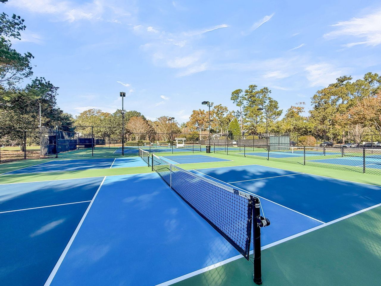 4201 Meadowbrook Court Photo 60