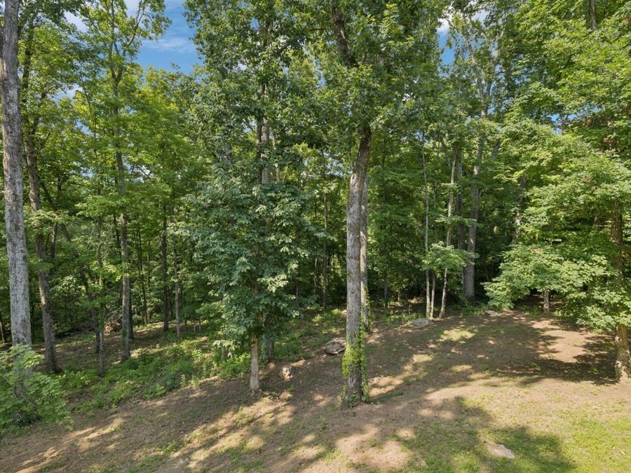 Property Image 59