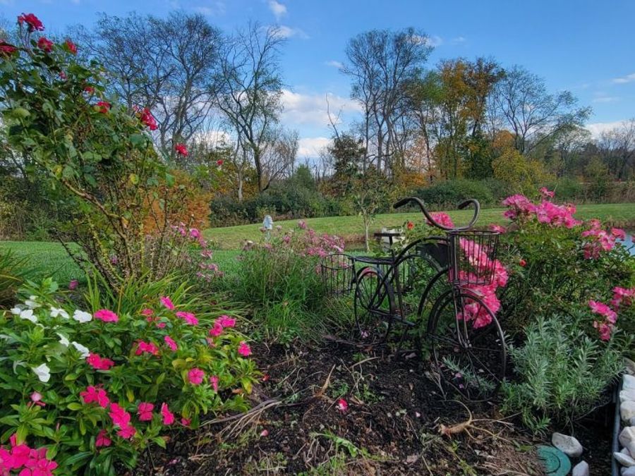 Property Image 8
