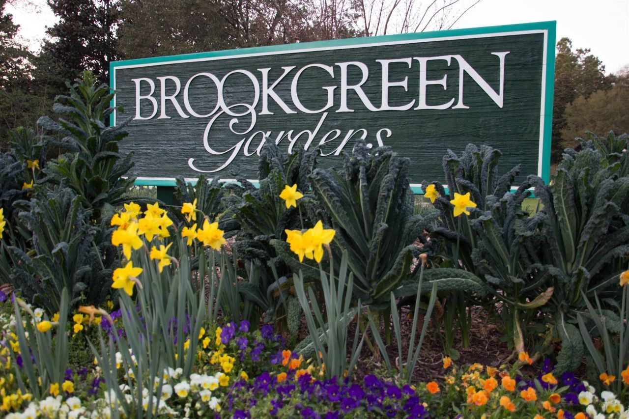 1183 N Blackmoor Dr. Photo 79