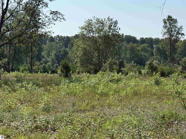 8 Bright Road S, Maple City, MI 49664