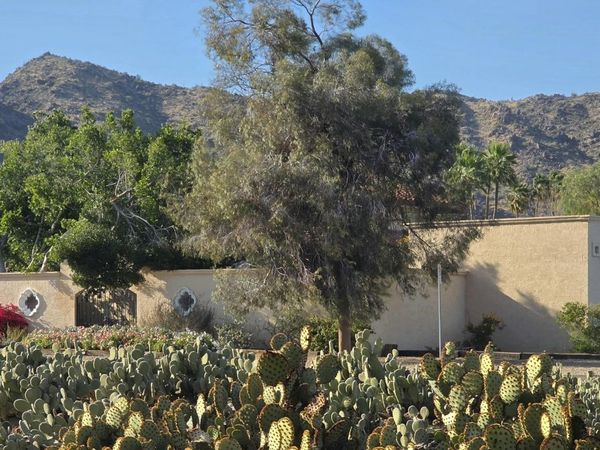 12054 S TONALEA Drive, Phoenix, AZ 85044