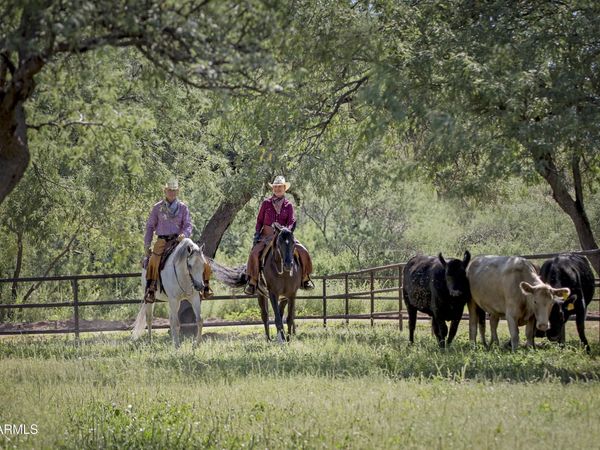 3155 W Elephant Head Road, Amado, AZ 85645