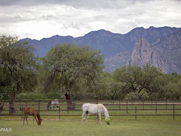 3155 W Elephant Head Road, Amado, AZ 85645