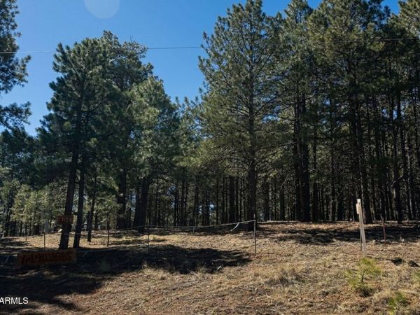 1080 POND Circle, Unit 890, Forest Lakes, AZ 85931