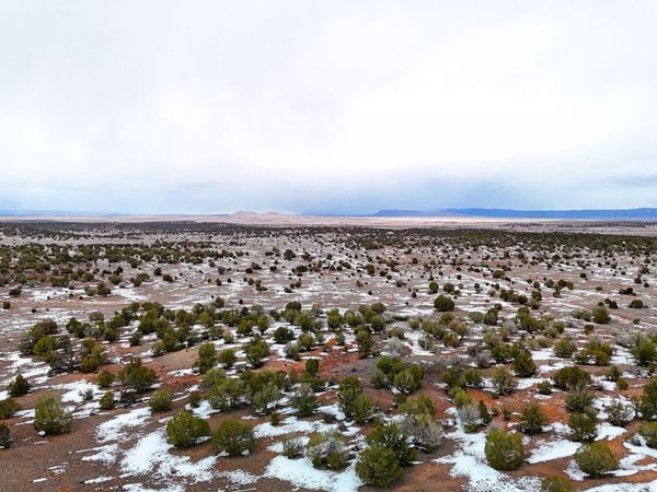 Dusty Rose Ranch Rd C 12 Acres, Unit -, Seligman, AZ 86337