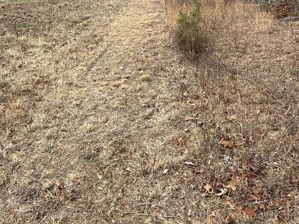 150 Blue Mountain Lane , Alco, AR 72680