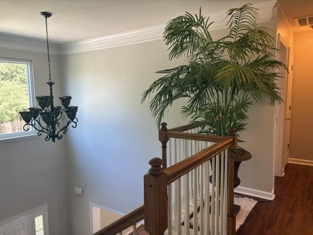 124 Evesham Drive Photo 18
